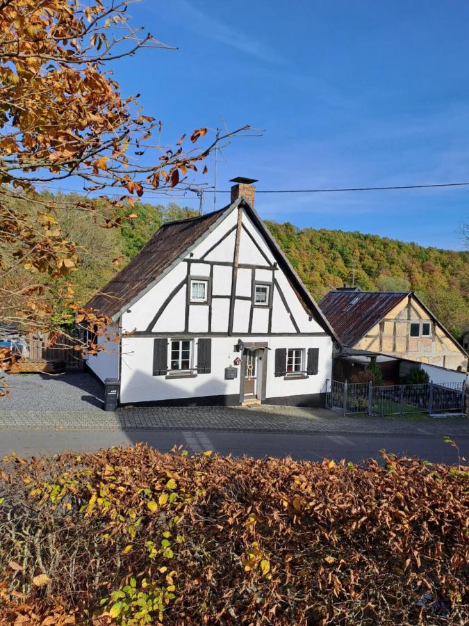 Landhaus Eifel Demerath Exteriör bild