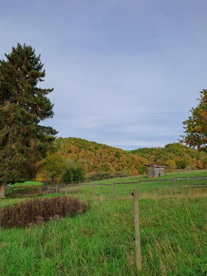 Landhaus Eifel Demerath Exteriör bild