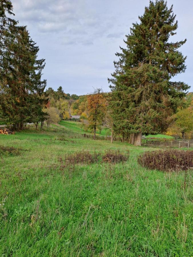 Landhaus Eifel Demerath Exteriör bild